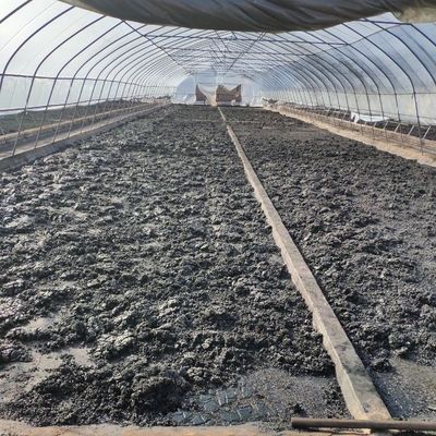 Granular Potassium Humate Fertilizer